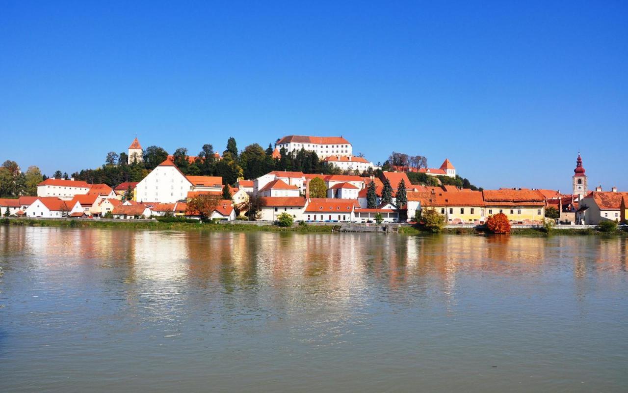 Bed and Breakfast Sobe Grabar Ptuj Esterno foto